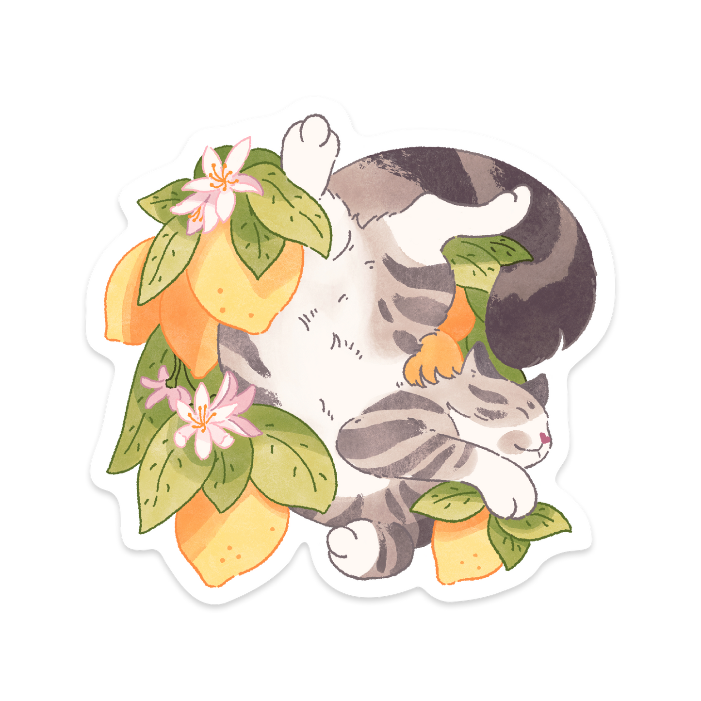 Fruit Salad Cat Stickers