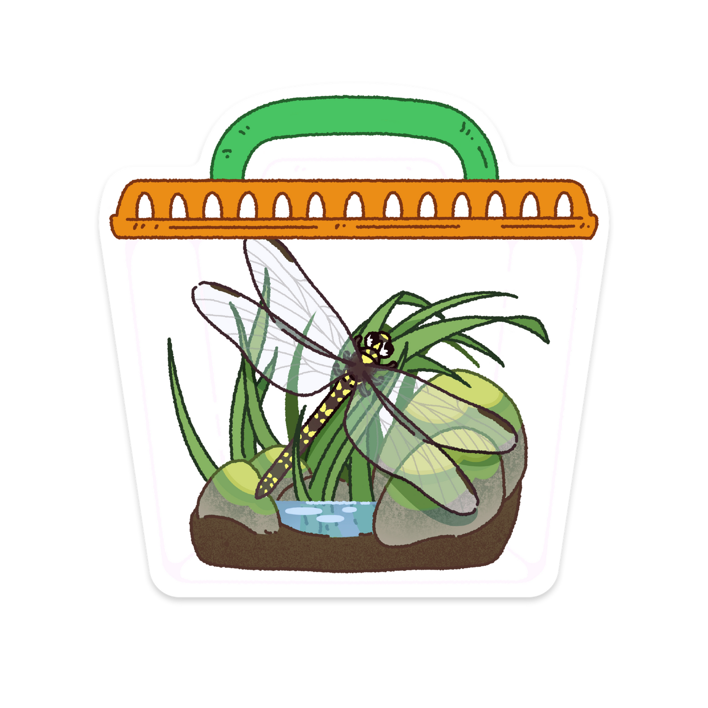 Summer Bug Stickers