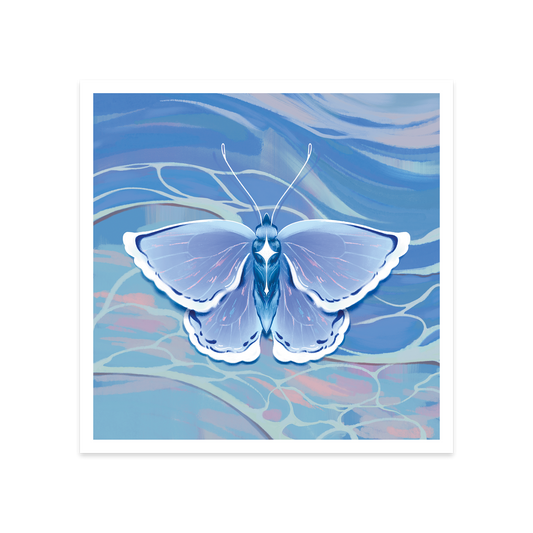 Water Butterfly Art Print